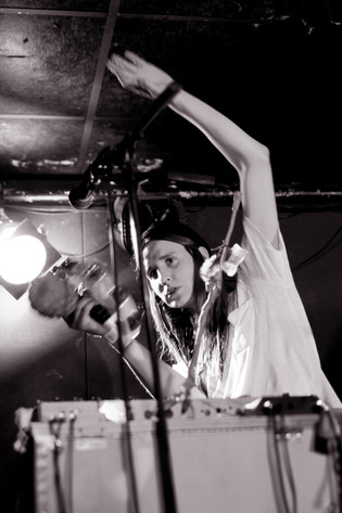 2012-04-19 - Intelligent Animal Minds at Henriksberg, Göteborg